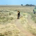 TZA SHI SerengetiNP 2016DEC24 NamiriPlains 010 : 2016, 2016 - African Adventures, Africa, Date, December, Eastern, Month, Namiri Plains, Places, Serengeti National Park, Shinyanga, Tanzania, Trips, Year